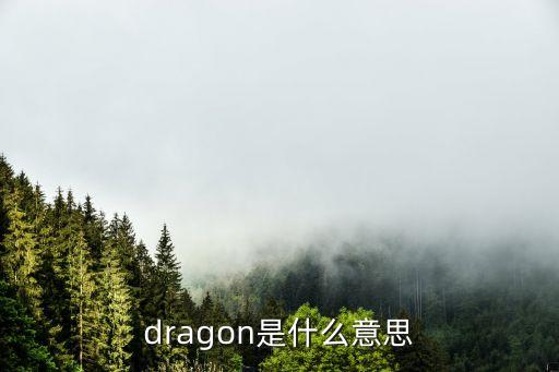 dragon是什么意思