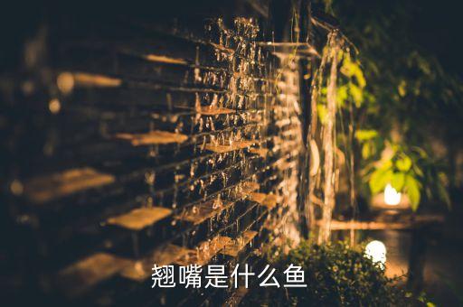 翘嘴鱼刺多吗，翘嘴鱼在多么深的水里面好钓
