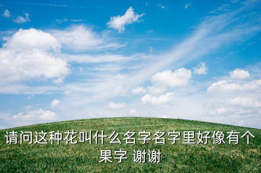 请问这种花叫什么名字名字里好像有个果字 谢谢