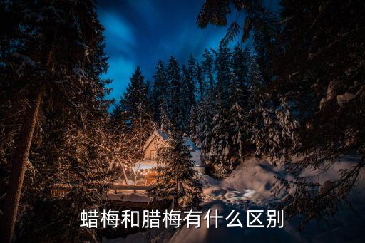 蜡梅和腊梅有什么区别