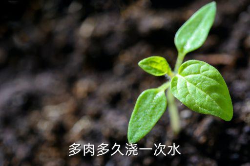 多肉多长时间浇一次水，多肉一般多久浇水一次