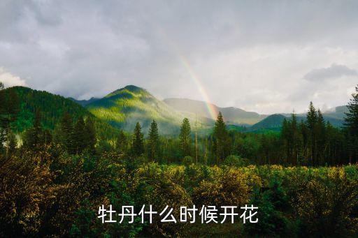 牡丹什么时候开，牡丹几月开花