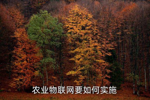 农业物联网怎么建设，农业物联网要如何实施