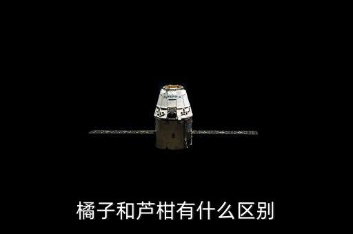 橘子和芦柑有什么区别