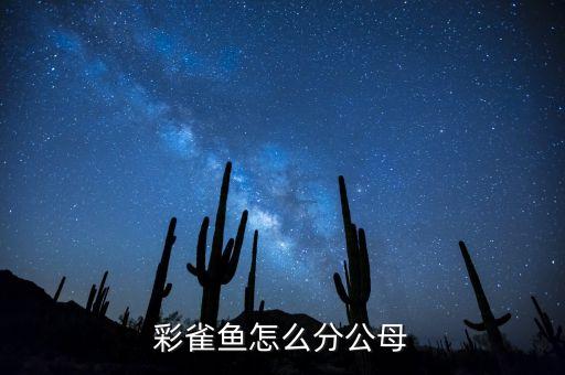 彩雀鱼怎么分公母
