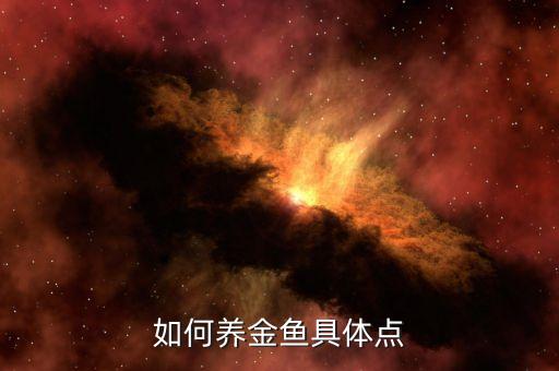 如何养金鱼具体点