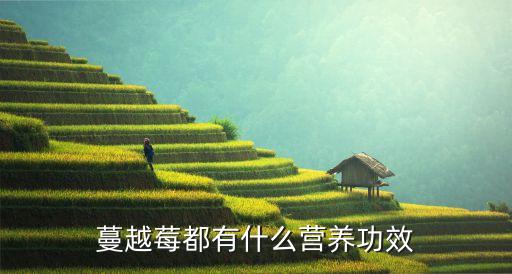 蔓越莓的营养价值，蔓越莓有什么营养