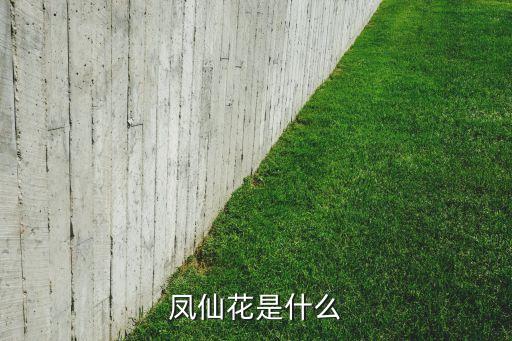 凤仙花是什么