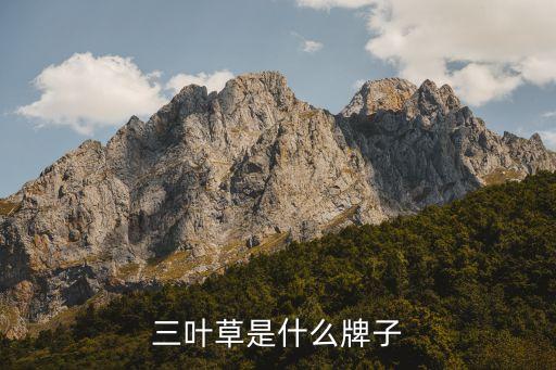 三叶草是什么牌子