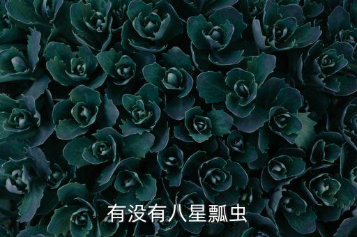 八星瓢虫，有没有八星瓢虫