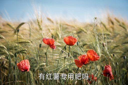 红薯专用肥，红薯用什么肥好