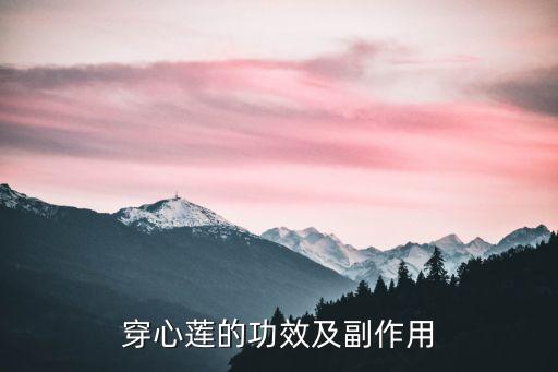 穿心莲，穿心莲在中医里有哪些功效与作用呢