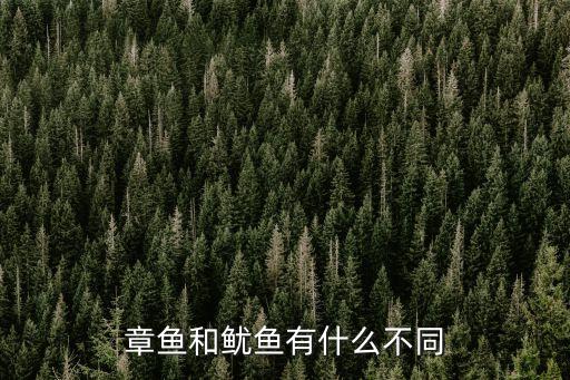 章鱼和鱿鱼的区别，章鱼和鱿鱼有什么不同