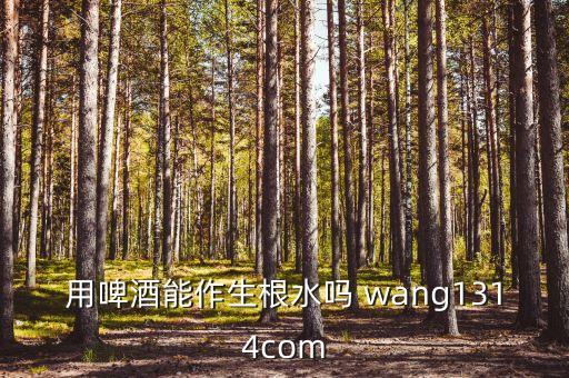用啤酒能作生根水吗 wang1314com