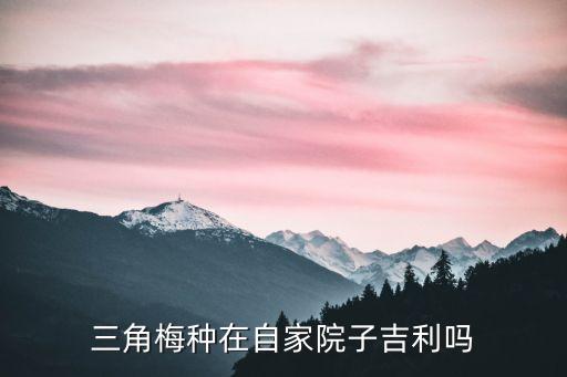 家里养三角梅吉不吉利，家门口养三角梅是不是代表倒霉呀