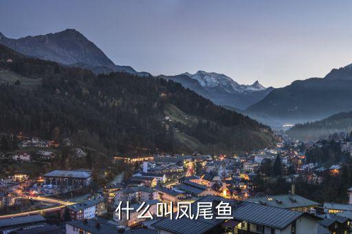 凤尾鱼，如何养凤尾鱼