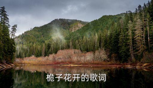 桅子花开的歌词