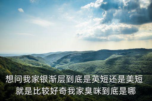 想问我家银渐层到底是英短还是美短 就是比较好奇我家臭咪到底是哪