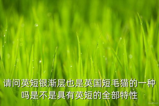 请问英短银渐层也是英国短毛猫的一种吗是不是具有英短的全部特性