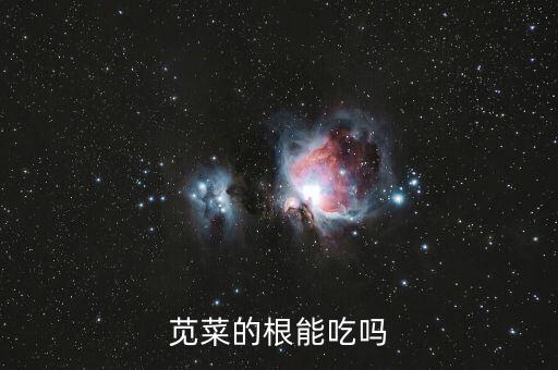 苋菜根，苋菜的根能吃吗