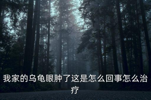 乌龟眼睛肿，乌龟眼睛肿了怎么办