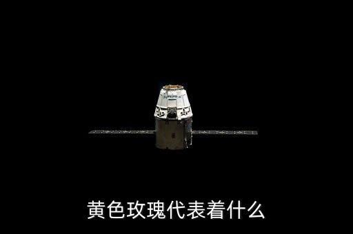黄玫瑰的寓意，黄色玫瑰代表什么