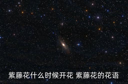 紫藤花什么时候开花 紫藤花的花语