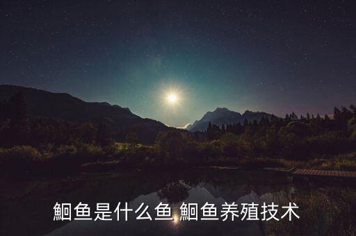 鮰鱼是什么鱼，鲇鱼是什么