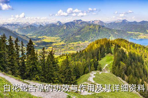 白花蛇舌草的功效与作用及其详细资料