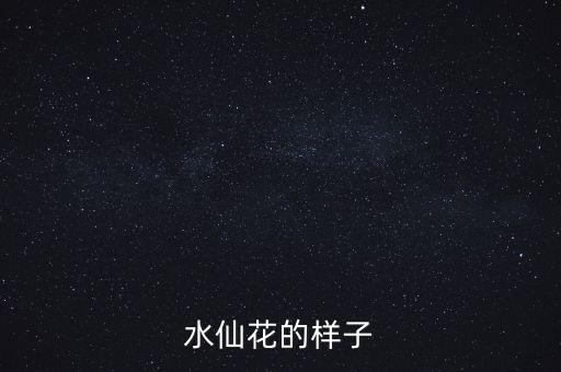 水仙花的样子