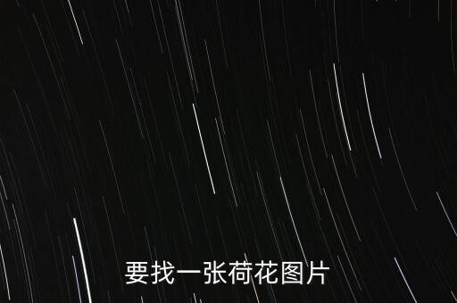 要找一张荷花图片