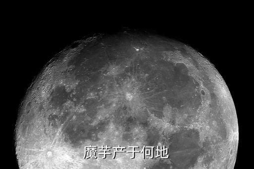 魔芋产于何地