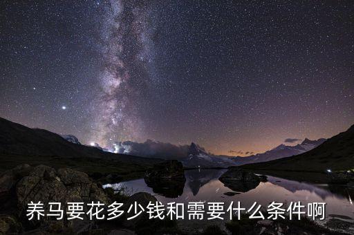 养马要花多少钱和需要什么条件啊
