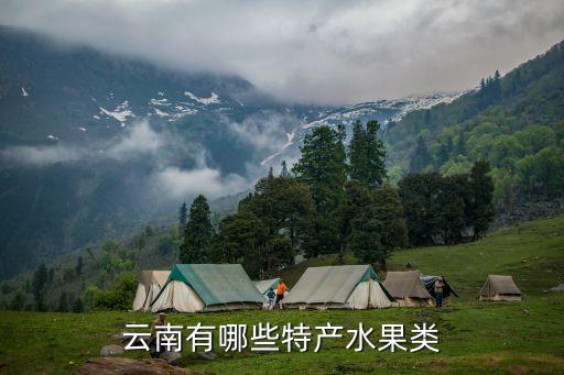 云南特产水果，云南特产水果是什么除了苹果以外