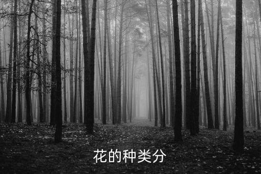 花的种类分