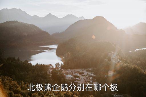 北极熊企鹅分别在哪个极