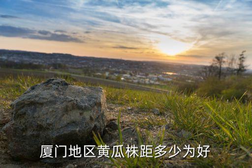厦门地区黄瓜株距多少为好