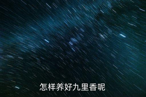 九里香盆景，请教老师九里香适合制作盆景吗