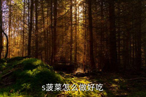 野菠菜怎么吃，蚍管怎么吃