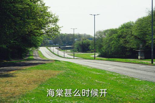 海棠花开花时间，海棠花什么时候开