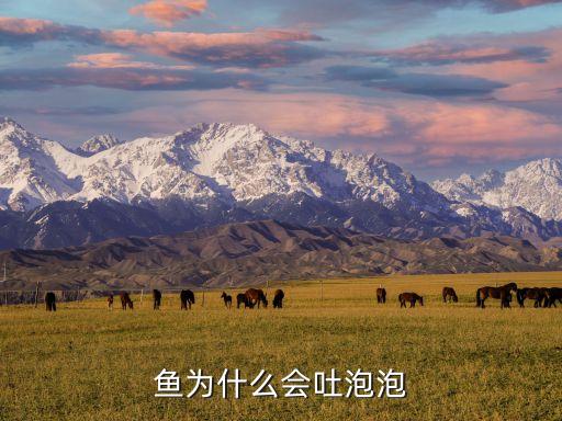 鱼为什么会吐泡泡