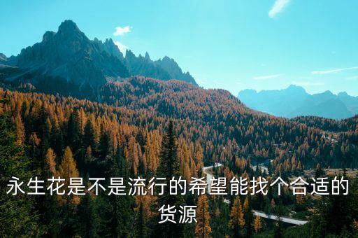 永生花是不是流行的希望能找个合适的货源