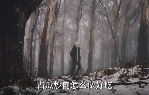 占瓜，连云港的占瓜是不是指的西葫芦