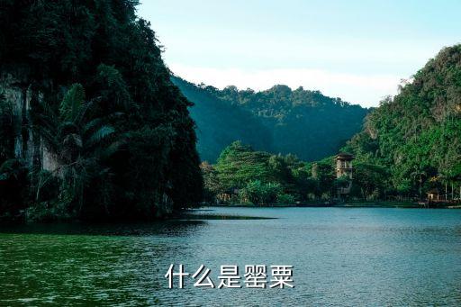 什么是罂粟