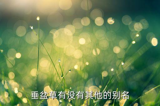 垂盆草有没有其他的别名