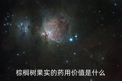 棕榈树果实的药用价值是什么