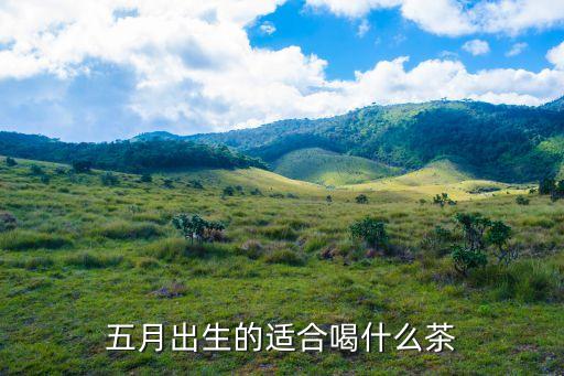 五月茶，这是什么树 树上的果子有毒么