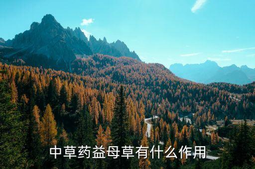 益母草的功效与作用的功能与主治，益母草有什么功效