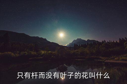 溲疏花，各位请看一下这是什么花