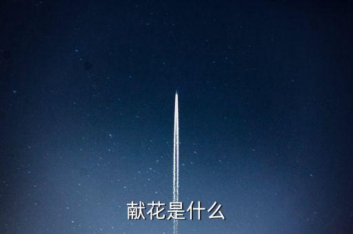 献花，献花是什么